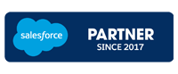 Salesforce Partners